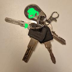 Sleutelbos がiLostに報告されました