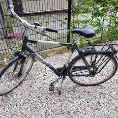 Giant herenfietsen, gerapporteerd met iLost