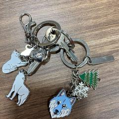 Klíčenka, jak nahlášeno CARS HANGARD pomocí iLost