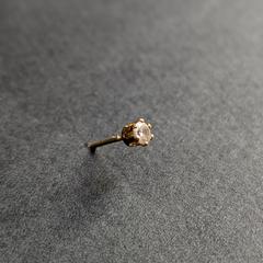 earring がiLostに報告されました