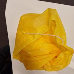 Regenjas, som rapportert av Apenheul ved bruk av iLost