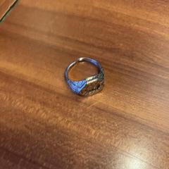 Ringetje, zoals gemeld door Pathé Rembrandt Utrecht met iLost