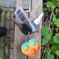Keys, sleutels, ha sido reportado a iLost