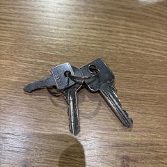 Sleutelbos, iLost에 보고됨