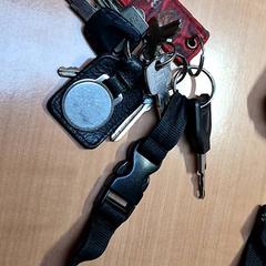 Kľúčenka, ako bolo nahlásené Gemeente Zutphen pomocou iLost