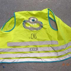 Vestje fluo, som rapportert av Gemeente Leopoldsburg ved bruk av iLost