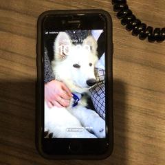 Mobiltelefon Zwart iPhone, som rapportert av Van der Valk Hotel Zwolle ved bruk av iLost