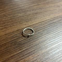 Ring, gemeldet von Pathé Leeuwarden über iLost