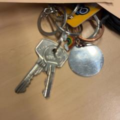 Nøkkelring, som rapportert av RET ved bruk av iLost