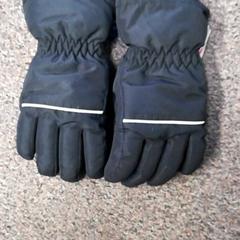 Handschuhe Zwart, gemeldet von Burgers' Zoo über iLost