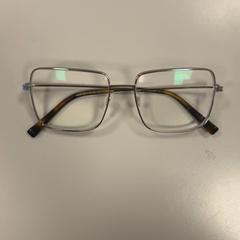 Szemüveg Zilver, amint azt Vrije Universiteit Amsterdam az iLost segítségével jelentette.