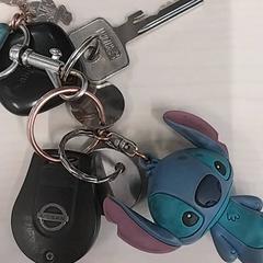 Clauer, segons ha informat Arriva Limburg Zuid mitjançant iLost