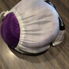 Näckkudde Paars, rapporterat av Van der Valk Hotel Zwolle med iLost