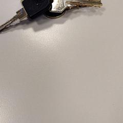 Chiavi Zwart, come riportato da Vrije Universiteit Amsterdam utilizzando iLost