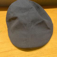 Pet, som rapportert av Pathé Ede ved bruk av iLost