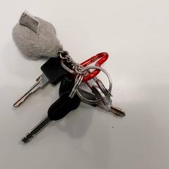 Schlüssel, gemeldet von Regio Limburg - Leuven über iLost