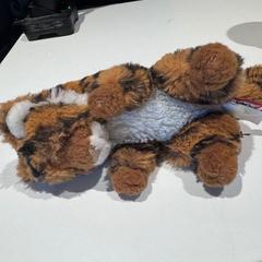 Kitömött állat tiger, amint azt Amsterdam ID Aparthotel az iLost segítségével jelentette.