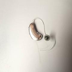 Gehoorapparaat, zoals gemeld door Burgers' Zoo met iLost