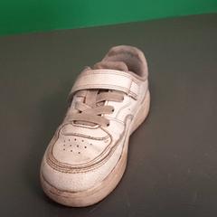 Sneaker Kinderschoen, gisa salatu by Diergaarde Blijdorp iLost erabiliz