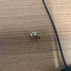 Fülbevaló Gold, amint azt Vrije Universiteit Brussel (VUB) az iLost segítségével jelentette.