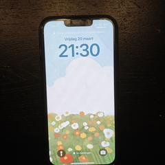 Blauwe iphone an iLost gemeldet