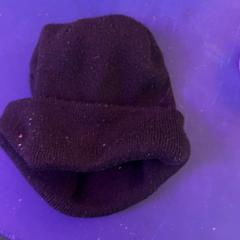 Muts, zoals gemeld door Schaatsbaan Rotterdam met iLost