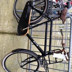 Bici da uomo Cortina, come riportato da Stadswerk072 utilizzando iLost