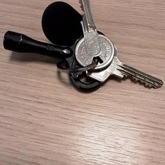 Sleutels, gemeldet von Qbuzz Fryslân über iLost