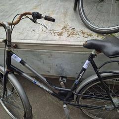 Damenrad, gemeldet von Gemeente Roermond über iLost