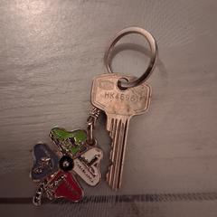 sleutel met klaver hanger, jak bylo nahlášeno na iLost