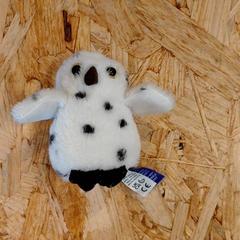 Giocattolo Petite peluche 10 cm, come riportato da IKEA Rennes - Pacé utilizzando iLost