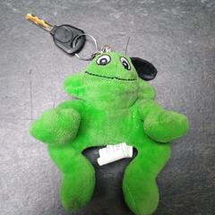 fiets sleutel met kikker がiLostに報告されました