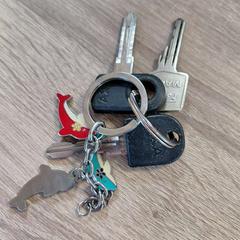 Schlüssel, gemeldet von EBS OV Poeldijk über iLost