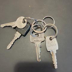 鍵 がiLostで Gemeente Ermelo によって報告されました