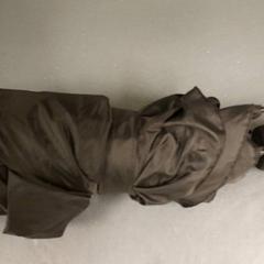 Umbrella, as reported by Regio Limburg - Leuven using iLost