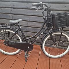 Zwarte fiets, ha sido reportado a iLost