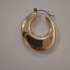 Goudkleurige oorbel がiLostに報告されました