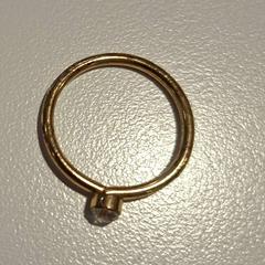 Ring, as reported by Gemeente Duiven using iLost