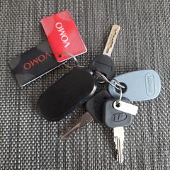 Sleutelbos met o.a. autosleutel, come riportato a iLost