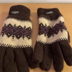 Hanske, som rapportert av Pouw Vervoer ved bruk av iLost