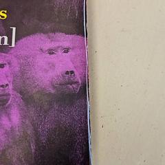 책, iLost를 사용하여 GVB에 보고됨