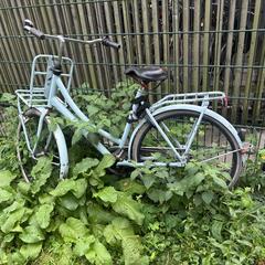 Lichtblauwe fiets/ bicycle lightblue Cortina، كما تم الإبلاغ عنه عبر iLost