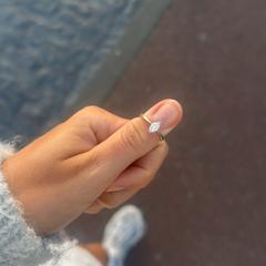 Zilveren ring a été signalé sur iLost