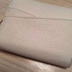 Pénztárca Beige, amint azt Qbuzz Fryslân az iLost segítségével jelentette.