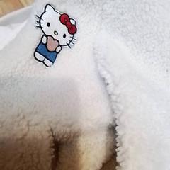 Dzseki Hallo kitty, amint azt Beekse Bergen Resorts en Hotel az iLost segítségével jelentette.