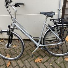 Fiets Multicycle Dames Zilver Ermelo 31-10-25, ha sido reportado a iLost