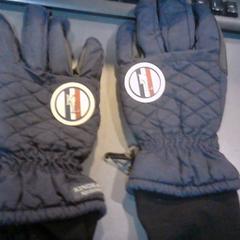 Gants, a été signalé par SnowWorld Landgraaf utilisant iLost