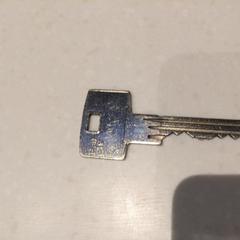 Sleutel, som rapportert av Rijksmuseum van Oudheden ved bruk av iLost