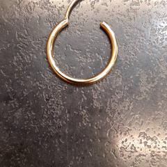 Orecchino, come riportato da Rotterdam The Hague Airport utilizzando iLost