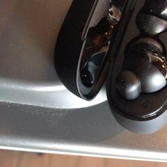 Oortjes Zwart, rapporterat av Attractie- & Vakantiepark Slagharen med iLost